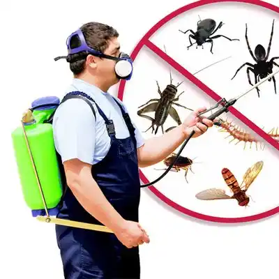 pest control Monmouth Junction
